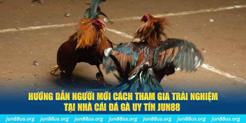 rr88bet CQ9 Điện Tử
