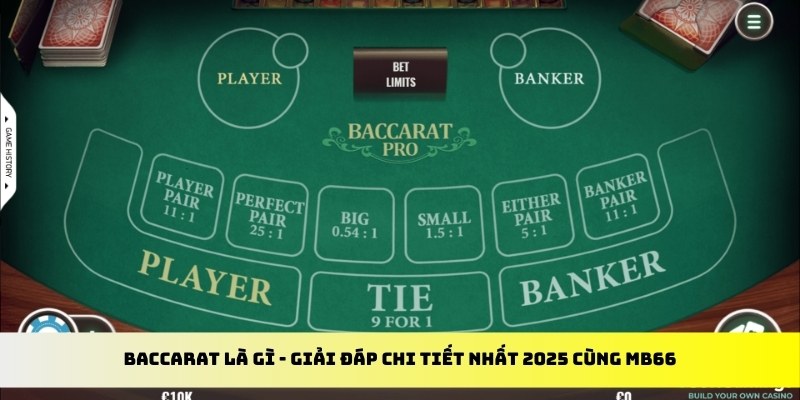 rr88bet gà chọi cu cần