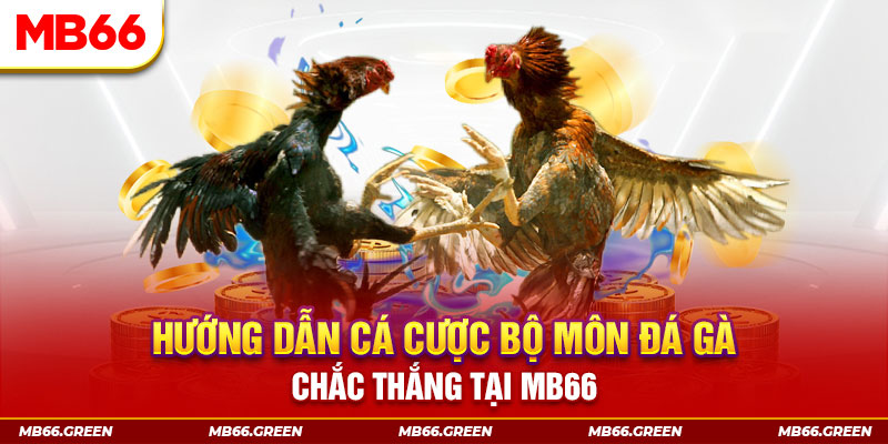 rr88bet bắn cá nổ hũ