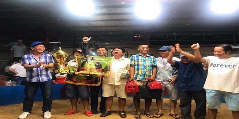 rr88bet đá gà trực tiếp hôm nay