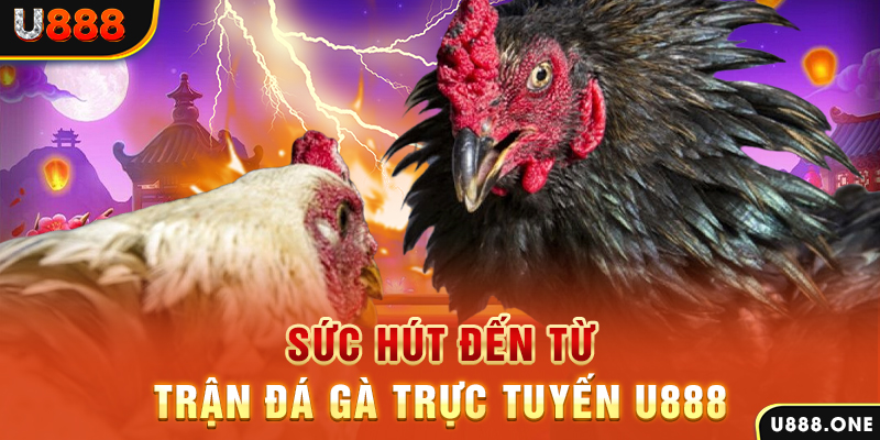 rr88bet nổ hũ b29 là gì