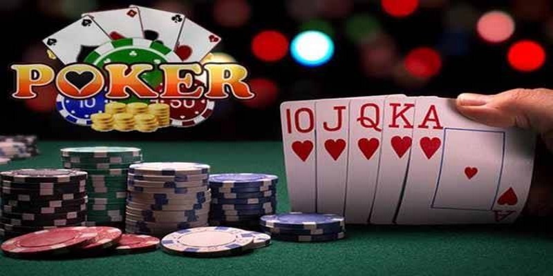 rr88bet đá gà thomo trực tiếp