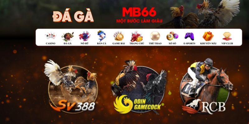 rr88bet đăng nhập poker số 1