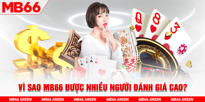 rr88bet đá gà