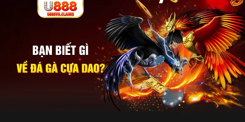 rr88bet nổ hủ là gì