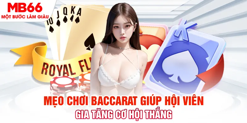 rr88bet Phi Đội Ưu Tú