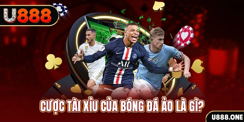 rr88bet đá gà thomo