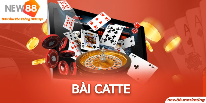 rr88bet gà chọi