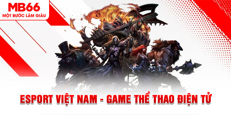 rr88bet what are the most popular casino games