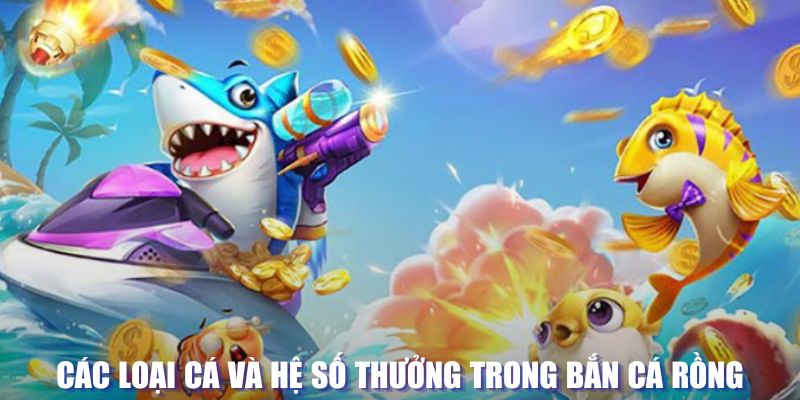 rr88bet đăng nhập sòng bạc mới nhất