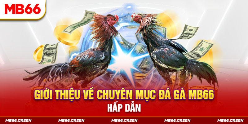 rr88bet đăng nhập sòng bạc đổi thưởng