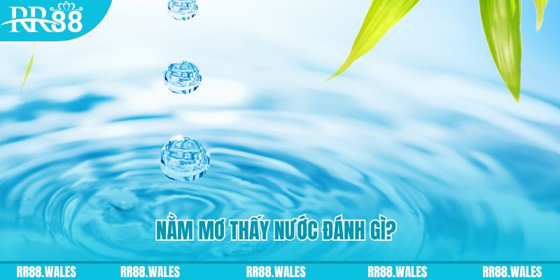 rr88bet TP Bắn cá