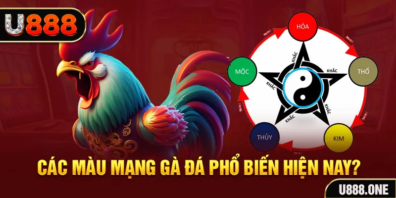 rr88bet trực tiếp đá gà 88