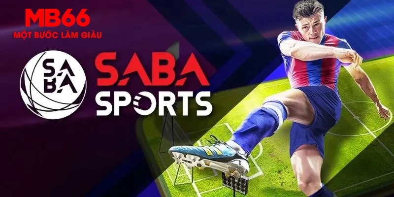 rr88bet gà chọi c1 thomo