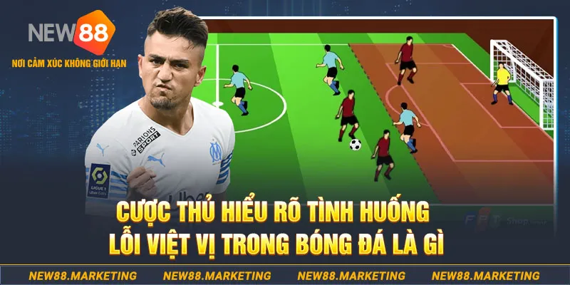 long bảo baccarat la gì
