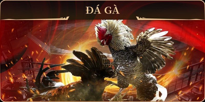 rr88bet xổ số miền nam thứ hai