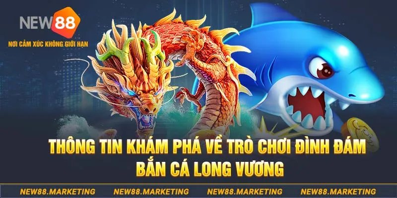 rr88bet baccarat lừa đảo như thế nào