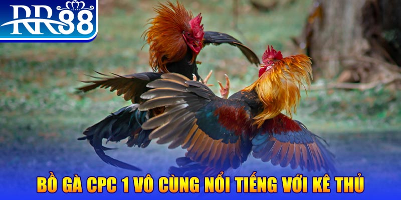 rr88bet game máy bay nổ hũ