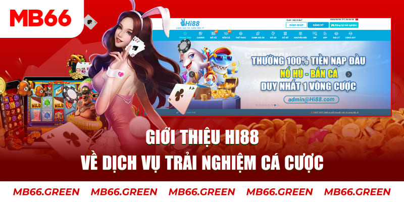 rr88bet ga choi hoa phong