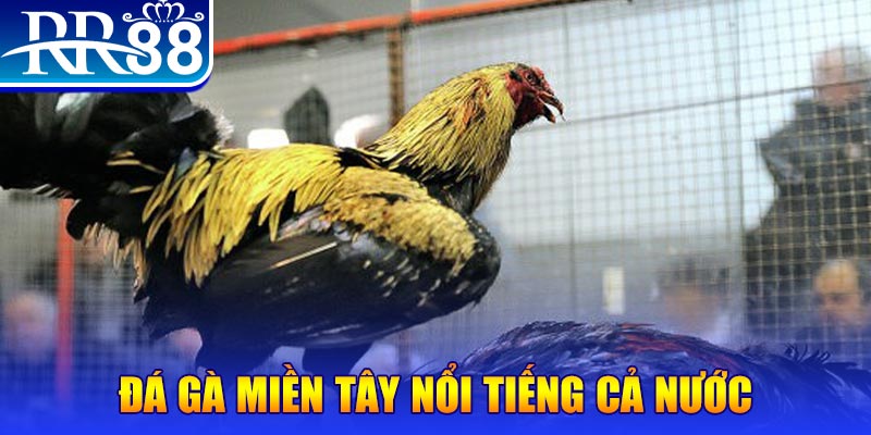 rr88bet JILI Game Bài 3d