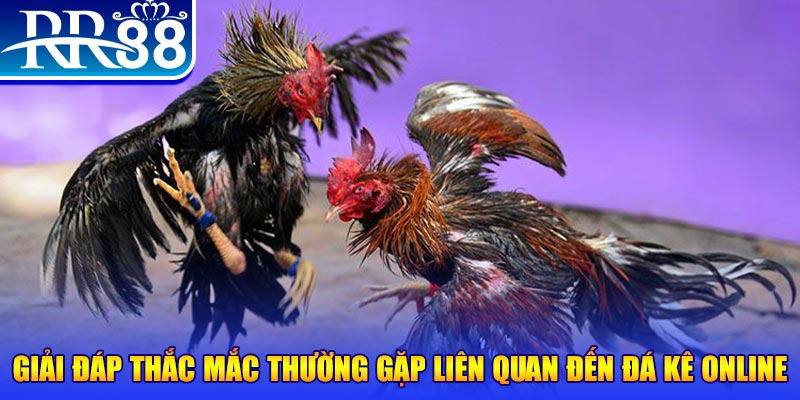 rr88bet xổ số đà lạt
