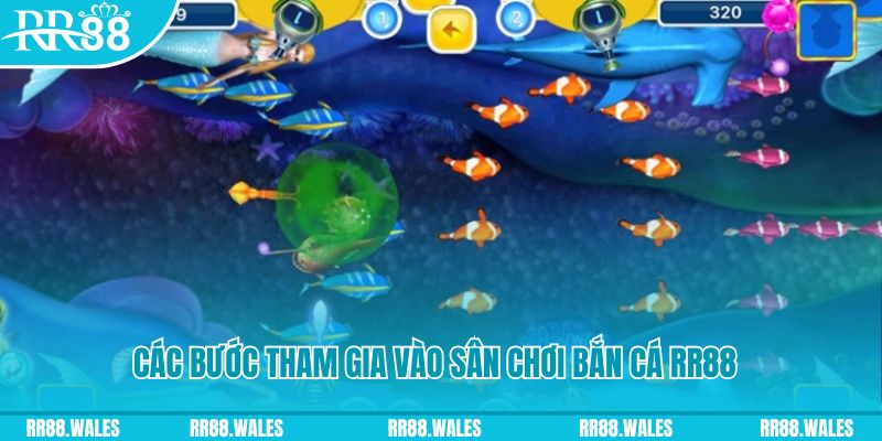 rr88bet bắn cá xèng 3