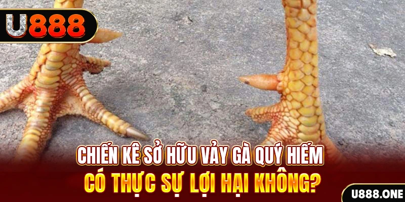 rr88bet nohu .mx nổ hủ là gì