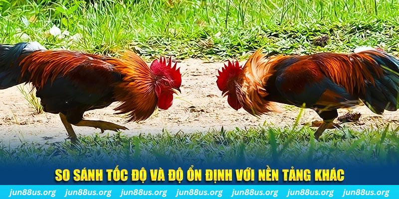 rr88bet đá gà hôm nay