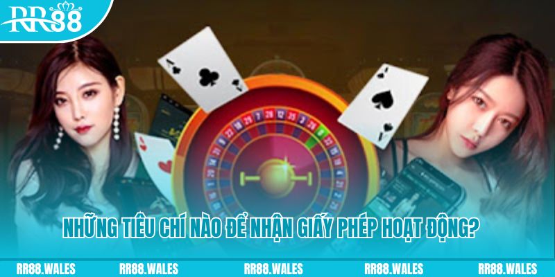 rr88bet hơn cả bạn bè