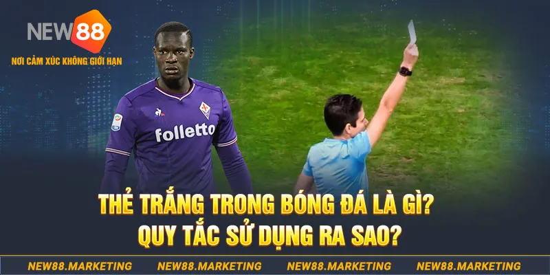 rr88bet gà chọi mộc hóa