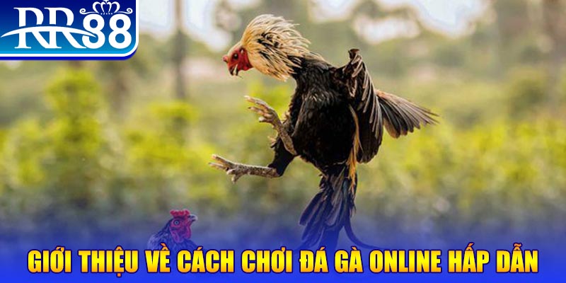 rr88bet game nổ hũ rút tiền mặt là gì