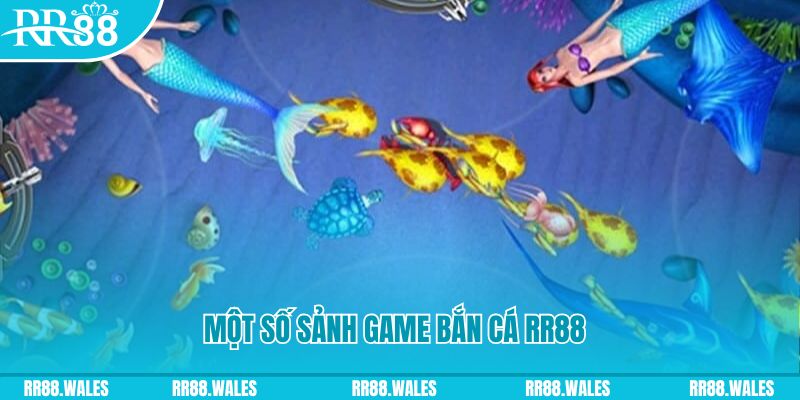 rr88bet đăng nhập mậu binh uy tín