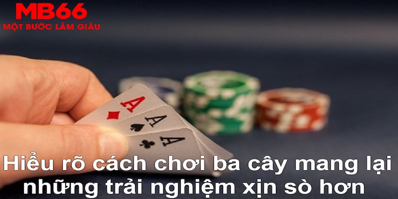 rr88bet xổ số đài bắc