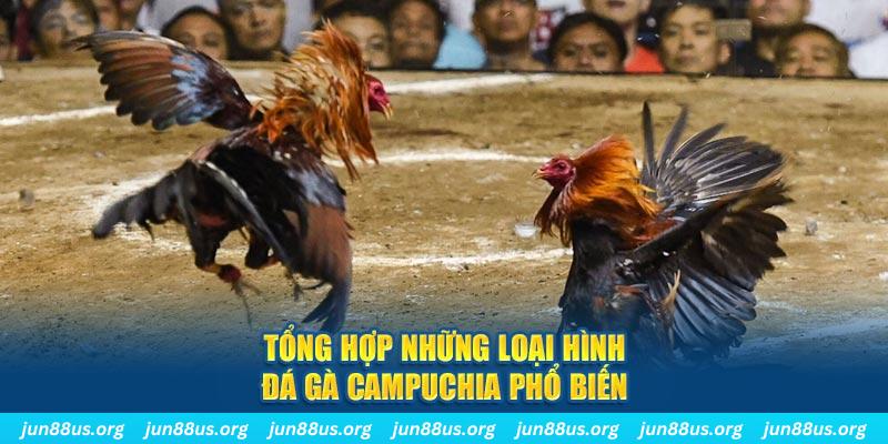 rr88bet đăng nhập nổ hũ 2024