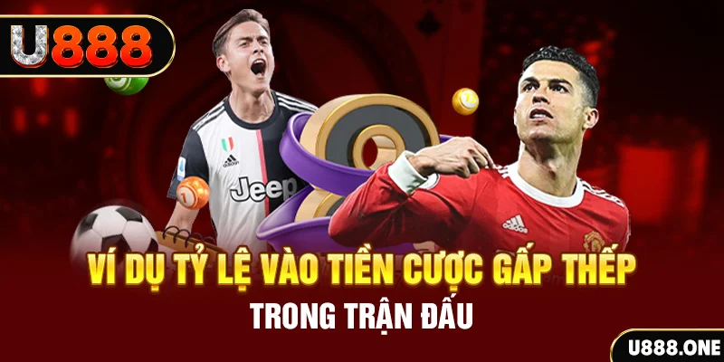 rr88bet kết quả xổ số 30 ngày