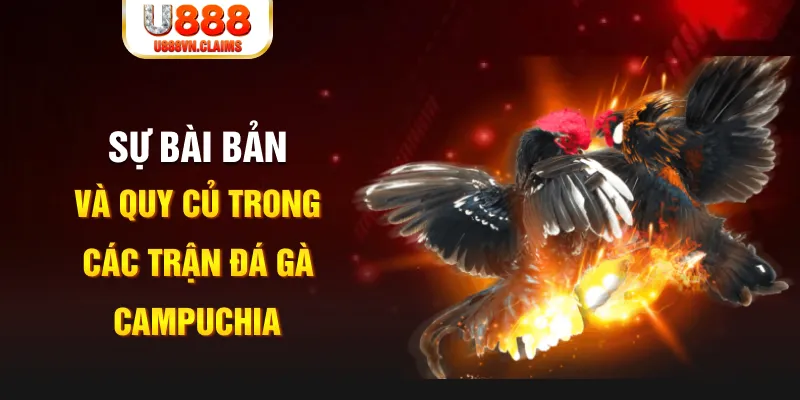 rr88bet YGR Điện Tử
