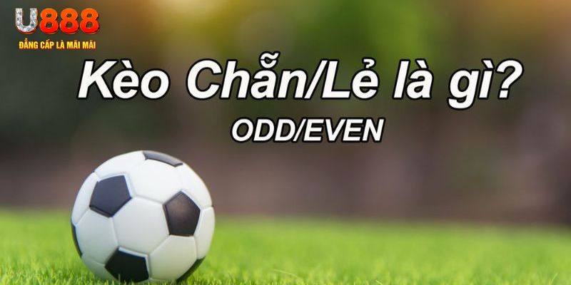 rr88bet đăng nhập poker hôm nay
