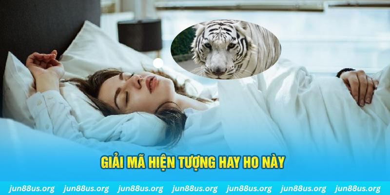 rr88bet đăng nhập nổ hũ uy tín