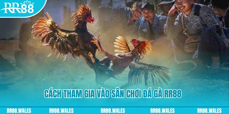 rr88bet chơi nổ hũ kiêng kỵ gì