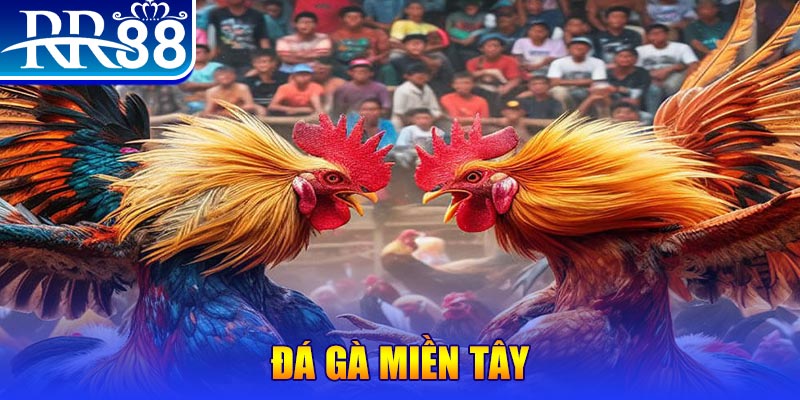 rr88bet đăng nhập nổ hũ