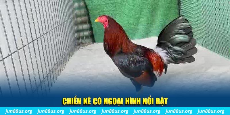 rr88bet chạy quảng cáo cho game bài bị phạt như thế nào