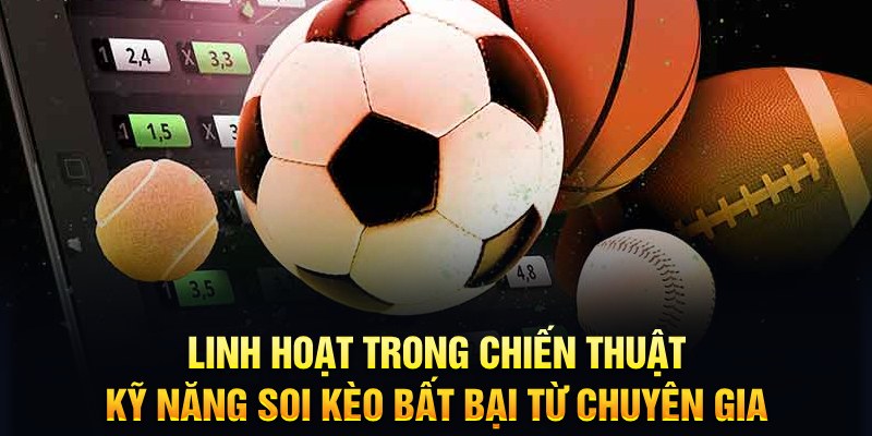 rr88bet trực tiếp đá gà c1
