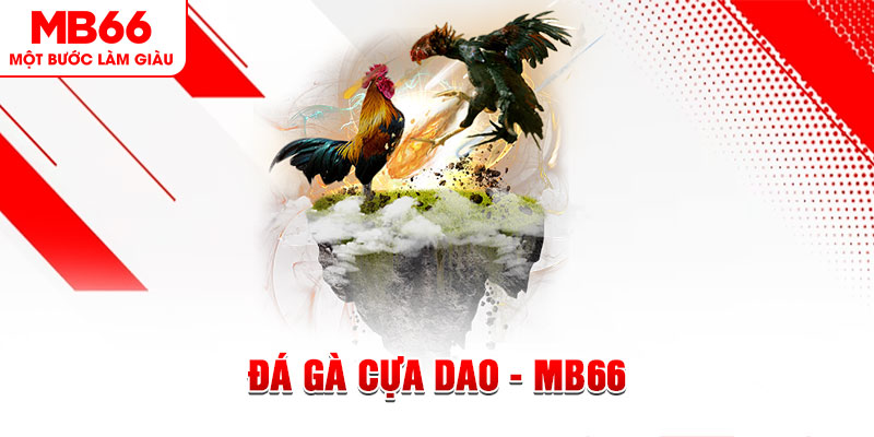 rr88bet đá gà sv388 gold