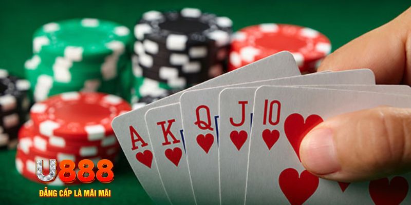 rr88bet đá gà trực tiếp thomo 67