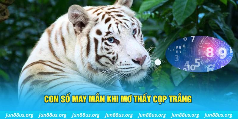 rr88bet đá gà trực tiếp 88